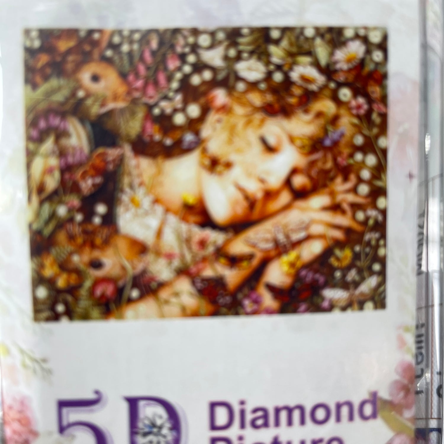 Sleeping Lady Diamond Painting Art Kit Set 40 x 50 Full Drill Round 5D - Johnny Boy